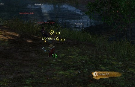 Guild Wars 2 astuces xp : comment gagner de l'expérience, petits trucs