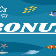 bonus casino