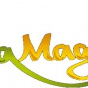 jeu de tactique en ligne miramagia