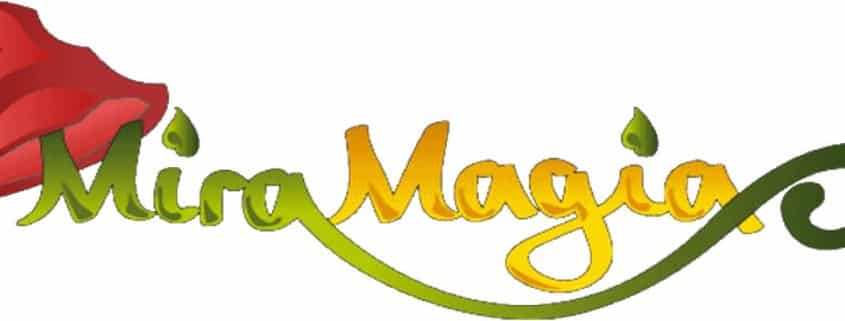 jeu de tactique en ligne miramagia
