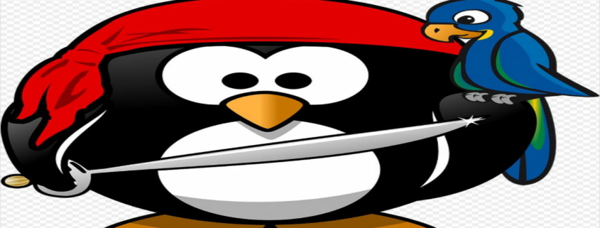 pirater wii