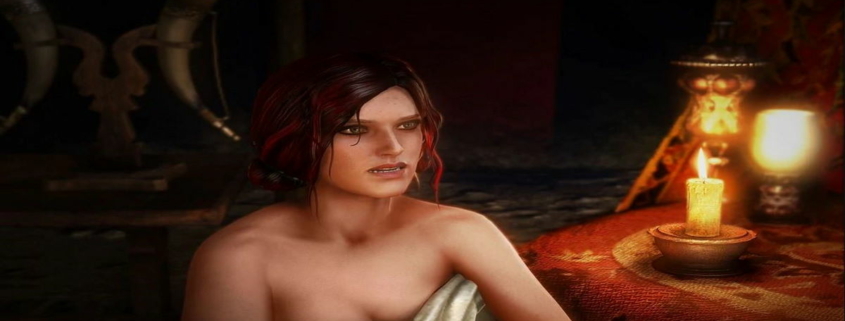 the witcher 2